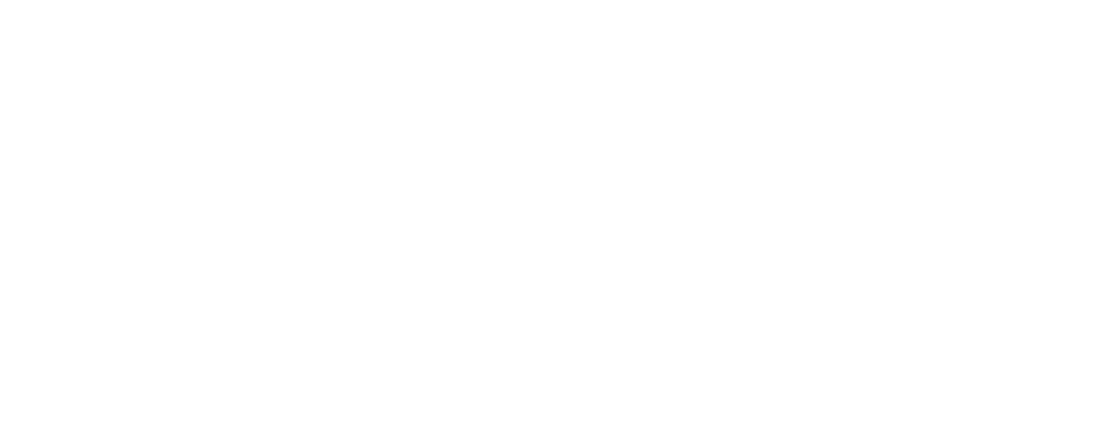 Lincoln Financial Insurance Logo